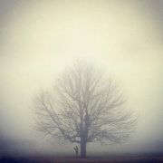 kalle_b
