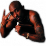 coolbaby