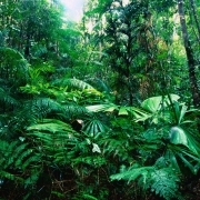 S30N