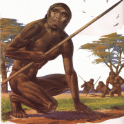 homo erectus