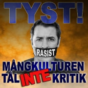 samhällskritikern