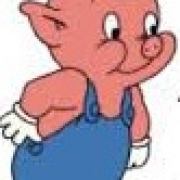 Bror Duktig