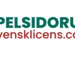 Spelsidorutansvensklicens